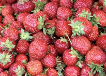 Albertsons is making a big change that customers will notice right away