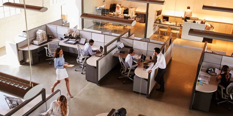 CBO predicts major SNAP shift for American workers
