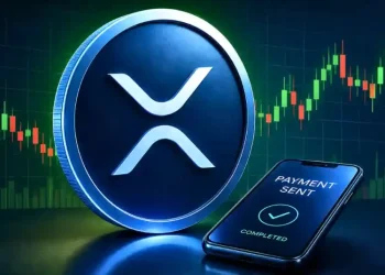 XRP Rich List Update : How Much XRP Do You Need to Be in the Top 1%?