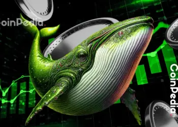 These 5 Altcoins Are Seeing the Biggest Whale Accumulation Right Now