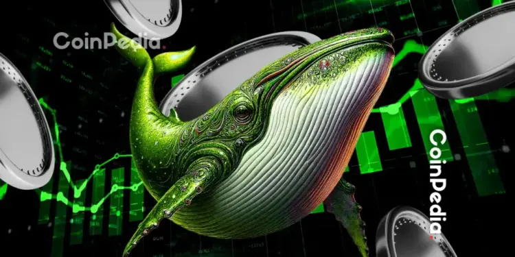 These 5 Altcoins Are Seeing the Biggest Whale Accumulation Right Now
