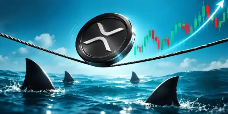 Evernorth XRP Treasury Deal: What the Nasdaq Listing Could Mean for XRP Holdings