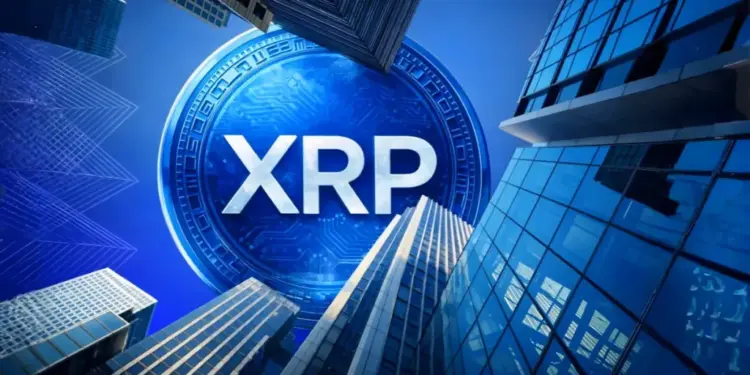 XRP Treasury Evernorth Files for 11.5M New Shares as It Eyes More XRP Buying