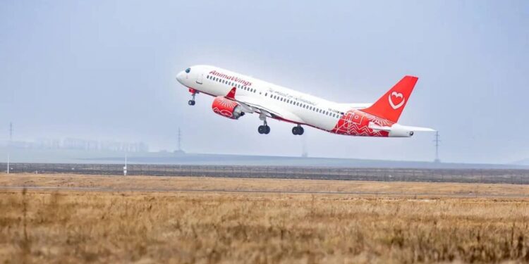 Another airline enters insolvency, cancels flights