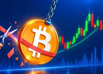 Bitcoin Price Prediction: 4chan Model Points to October Bottom Before $250K