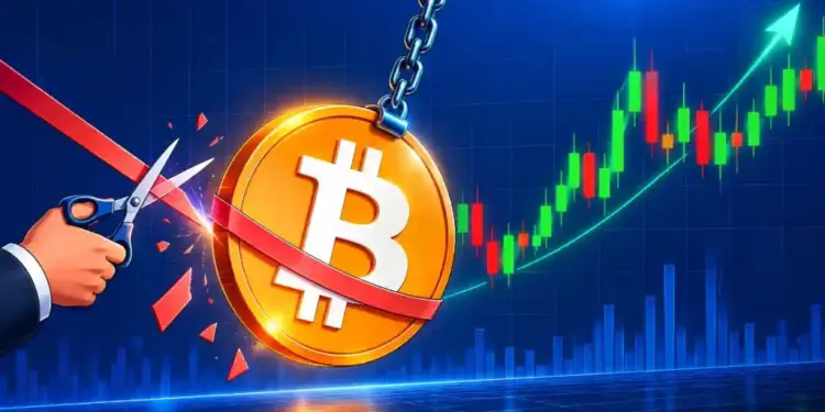 Bitcoin Price Prediction: 4chan Model Points to October Bottom Before $250K