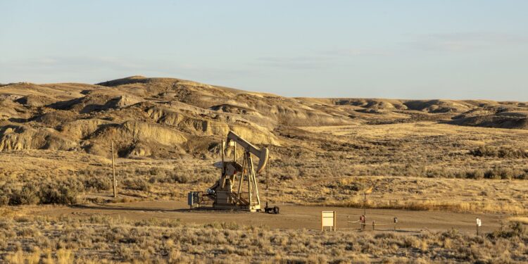 Oil Daily Trading price signals: WTI at $101.91, bull…